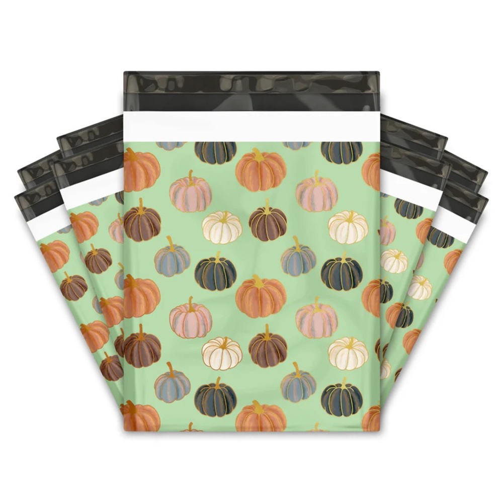 *Buy Now* 50 10 X 13 Pumpkin Pattern Poly Mailers